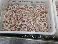 Frozen Argentina Squid Ring Frozen Giant Squid Rings Processed Indian Squid Ring