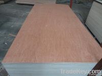 2.5mm bintangor plywood