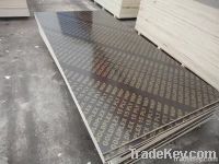 marine Plywood(construction plywood)