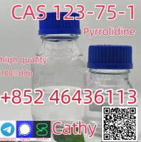 Cas 123-75-1 Pyrrolidine Liquid 99% Purity Large With Free Shipping   Add +852 46436113