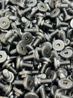 A2/A4 Stainless Steel Small Screws â Corrosion-Resistant & Durable From China