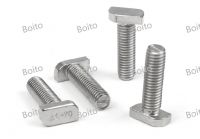 Stainless steel T-bolt