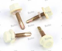 Steelstructure and roof waterproof nail series