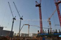 Tower Crane of LUFFING LTC6050 Boom Crane