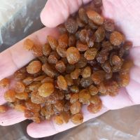 golden raisins