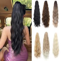 8A Grade Brazilian Human Hair Lace Front Wig
