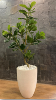 Terra White Stone Planter with Artificial Fiddle Tree