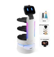 Commercial Human Autonomous Intelligence Artificial Public Welcome Smart Mobile Service Robot