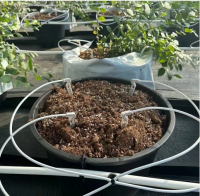 Drip Irrigation Pipe - Spaghetti tube