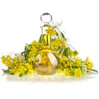 100% Pure RBD Canola Oil Ã¢ï¿½ï¿½ Refined Edible Grade |Bulk Supply at Competitive Wholesale Price