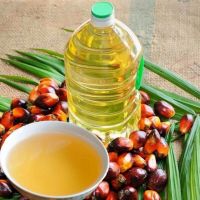 100% Pure Palm Kernel Oil &Atilde;&cent;&iuml;&iquest;&frac12;&iuml;&iquest;&frac12; Crude & Refined | Bulk Supply at Competitive Price From South Africa