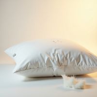 Premium Goose Down Pillow â�� Ultra Soft, Hypoallergenic &amp; Hotel Quality From Pakistan