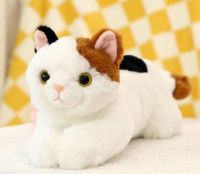 Plush cat toys for pets