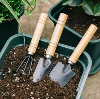 Horticultural tools: three small shovels, small trowels, potting supplies