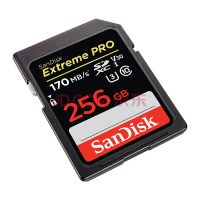 Digital Camera SD Memory Card From China