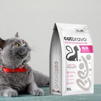 White bentonite cat litter From Turkey