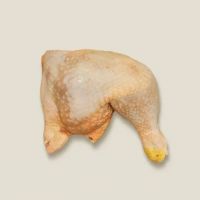 Frozen chicken meat