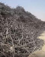 WASTE TITANIUM TUBE 99