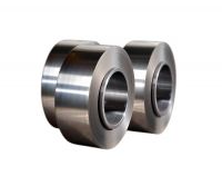 Stainless Steel Strips
