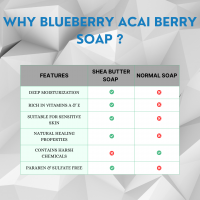Private Label Blueberry Acai Berry Soap Antioxidant Rich Skin Nourishing for Dull Aging Skin Luxury Spa Skincare From India