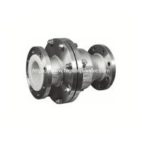 Swing Check Valve