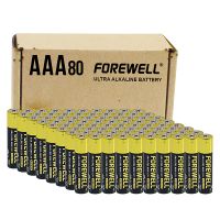 FOREWELL1.5 V Alkaline Battery  AAA