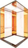 Luxury Residential Elevator design  elevator  GLP-409