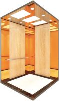 Luxury home Elevator design  elevator  GLP-410