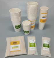 Eco-friendly Disposable Wooden Cutlery With