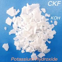 Potassium Hydroxide (KOH) CAS 1310-58-3 / Detergent Boiler/CKF / White Flakes & Pellets / Industrial Grade