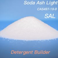High Purity Sodium Carbonate (Soda Ash Dense/Light) for Detergent Industry