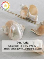 SEASHELL NAPKIN RING From Vietnam