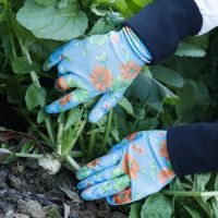 DDsafety 77+countries ÃÂ flower liner with Smooth nitrile coated ,rose pruning and landscaping gloves
