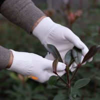 DDsafety Ãï¿½ÃÂ 15+years low-cost manufacturer Full Finger Solid Winter Protection Kids Gardening Nylon Safety Work Knit Gloves
