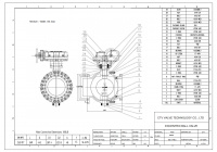 Eccentric O-type Ball Valve