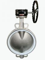 Soft-sealed Worm Gear Lug Wafer Butterfly Valve From China