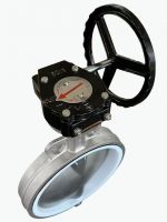 Soft-sealed Worm Gear Lug Wafer Butterfly Valve