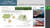 ICUMSA 45 White Sugar for Export Monday, June 2, 2025