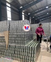 Canned Straw Mushroom - Hot Sale 2025 From Vietnam