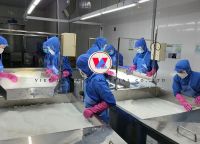 Nata De Coco - Best price From Vietnam