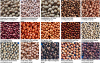 Pigeon Peas