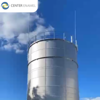 China Manufacturer Customized Pasteurization Tanks For