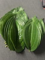 Product Name: Fresh Betel Leaves â�� Premium Southern Thai Variety
