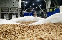 Wood Pellets From Russia
