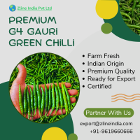G4 Green Chilli