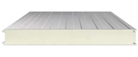 Polyurethane cold storage panel