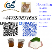 CAS 28578-16-7 CAS 52190-28-0 /4676-39-5 /2050-07-9  BMK Oil CAS 20320-59-6 CAS 718-08-1  New BMK Powder CAS 80532-66-7 /5449-12-7 /25547-51-7 /10250-27-8 /1625-45-9  CAS 49851-31-2 CAS 1451-82-7  Procaine Hydrochloride CAS 51-05-8 Procaine Base CAS 59-46