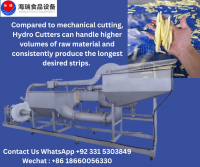 Vacuum Fryer, PEF, Potato Hydro Cutter