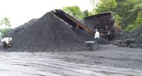 PREMIUM LOW VOLATILE COKING COAL