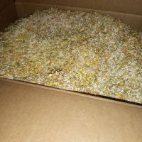 Chamomile 